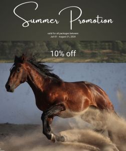 Summer-promotion-2025