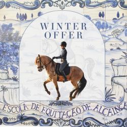 Summer-promotion-2024