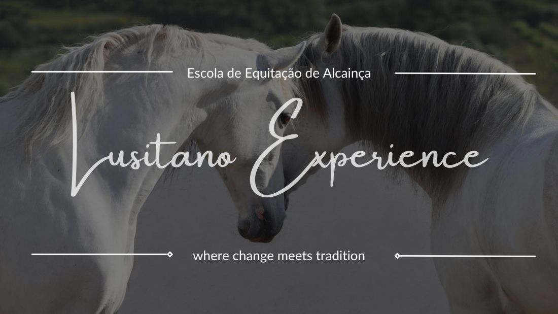 Escola de Equitação de Alcainça where change meets tradition